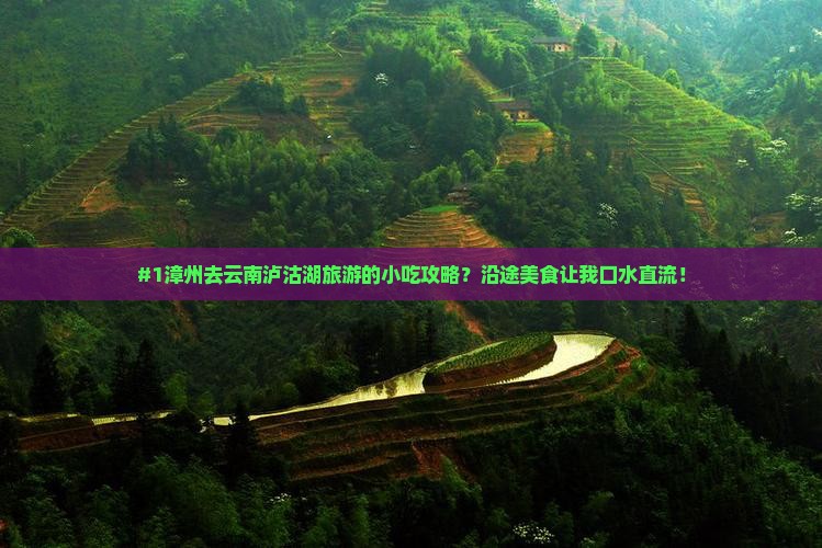 #1漳州去云南泸沽湖旅游的小吃攻略？沿途美食让我口水直流！
