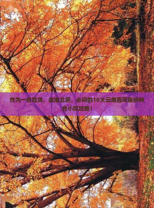 作为一名吃货，去淮北前，必问的10大云南西双版纳特色小吃攻略！