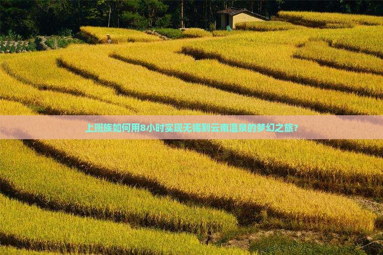 上班族如何用8小时实现无锡到云南温泉的梦幻之旅？