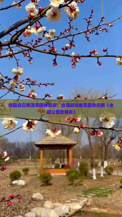 绵阳去云南洱海团体旅游：自驾游攻略及路线指南（全程公里数解析）