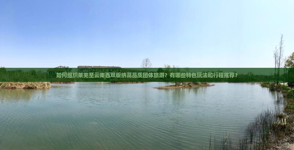 如何组织莱芜至云南西双版纳高品质团体旅游？有哪些特色玩法和行程推荐？