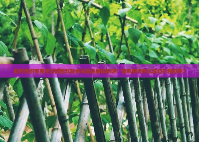如何组织莱芜至云南西双版纳高品质团体旅游？有哪些特色玩法和行程推荐？