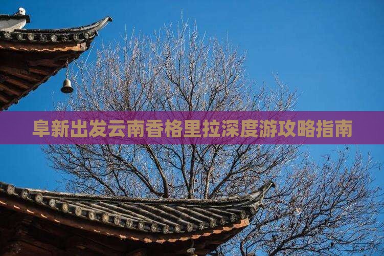 阜新出发云南香格里拉深度游攻略指南