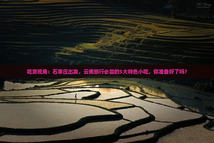 吃货视角：石家庄出发，云南旅行必尝的5大特色小吃，你准备好了吗？