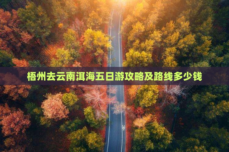 梧州去云南洱海五日游攻略及路线多少钱