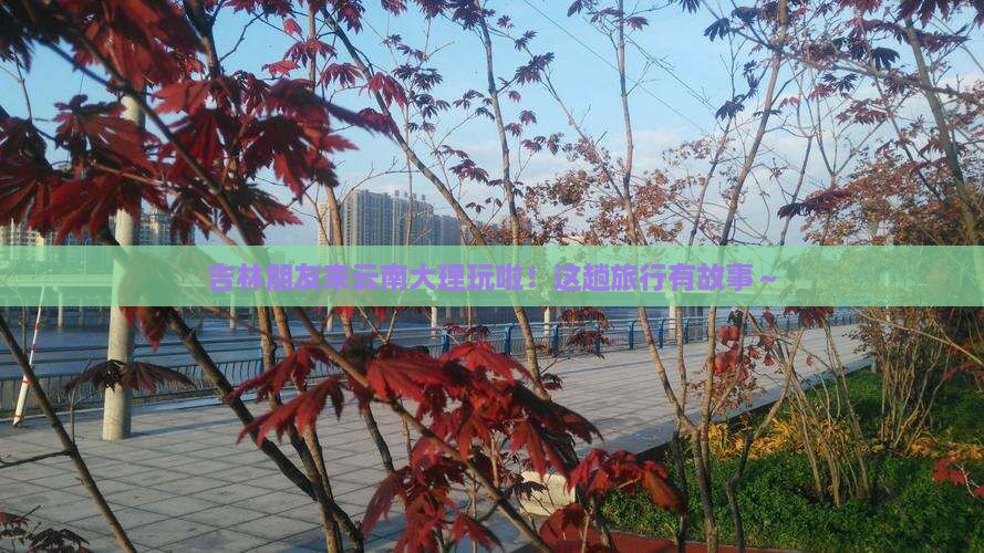 吉林去云南大理旅游