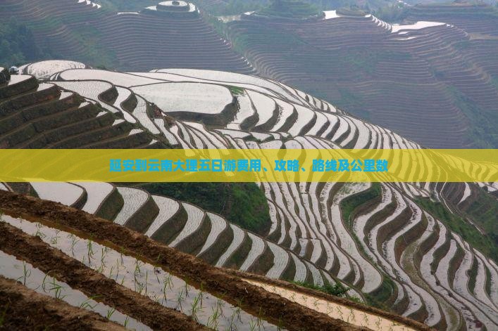 延安到云南大理五日游