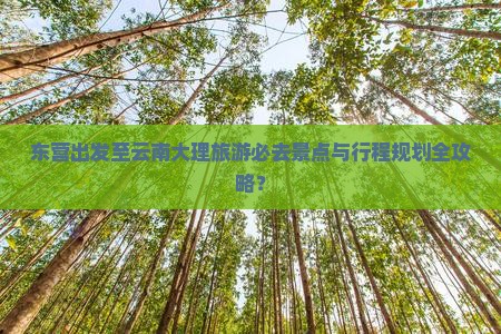 东营到云南大理必去地