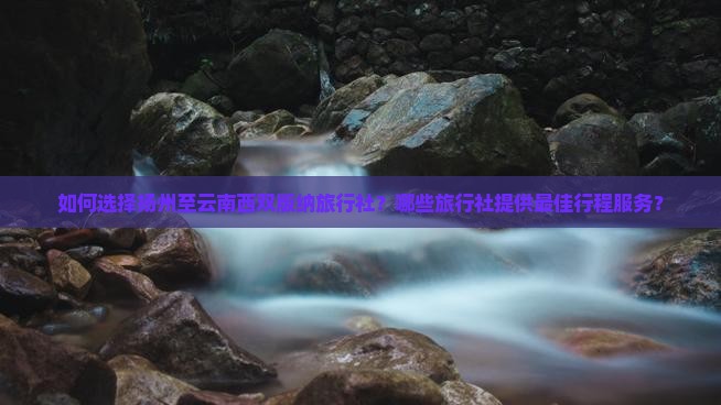 扬州到云南西双版纳旅行社