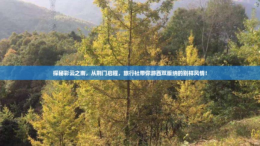 荆门到云南西双版纳旅行社