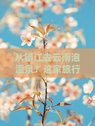 镇江到云南温泉旅行社