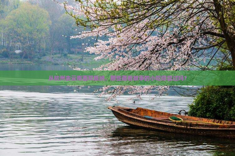 杭州到云南西双版纳旅游小吃