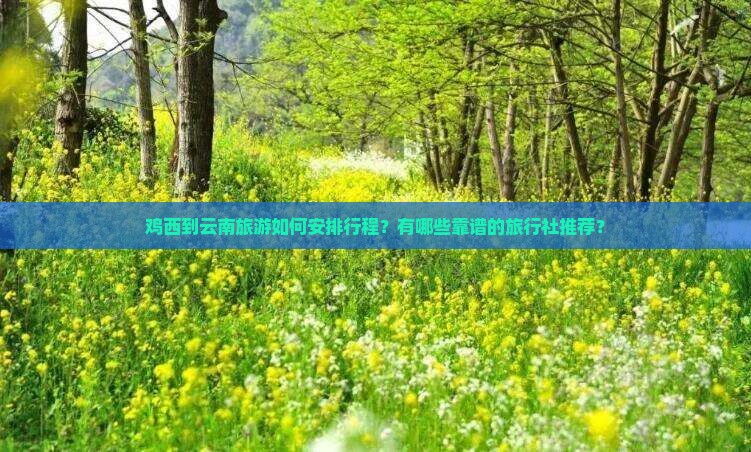 鸡西到云南旅行社