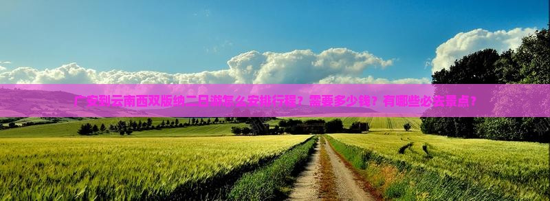 广安到云南西双版纳二日游