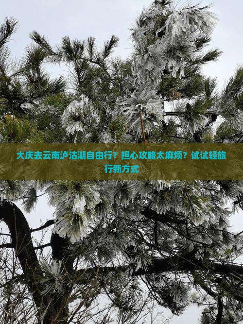 大庆去云南泸沽湖自由行