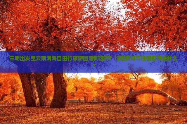 三明到云南洱海自由团