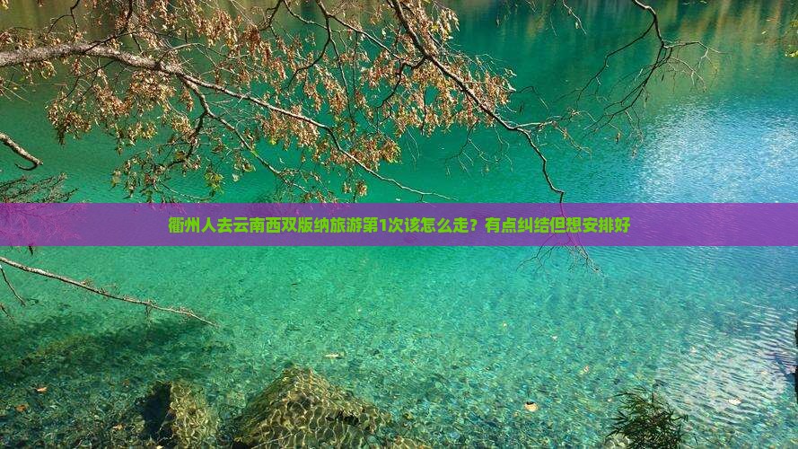衢州到云南西双版纳旅行社