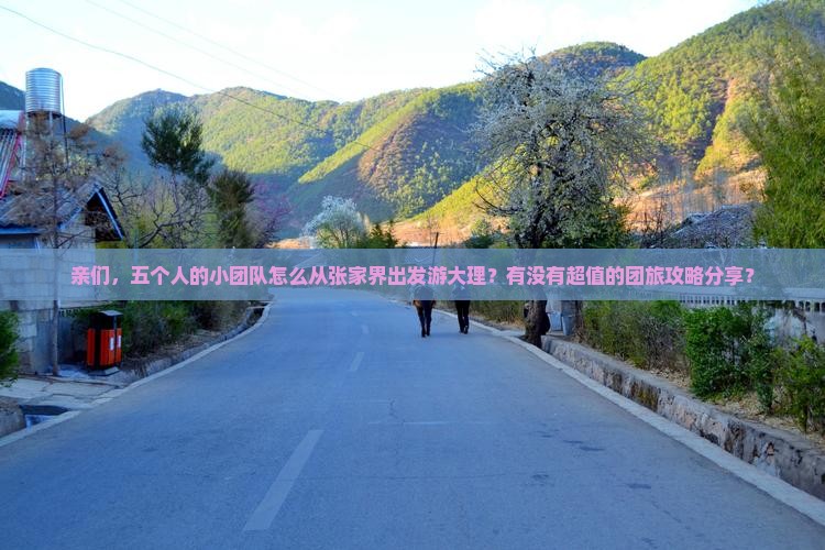 张家界去云南大理团体旅游