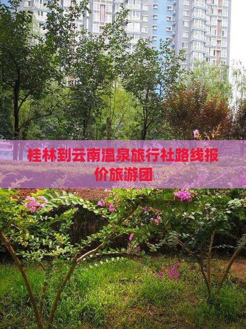 桂林到云南温泉旅行社