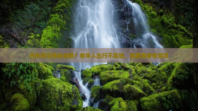丹东到云南自由团