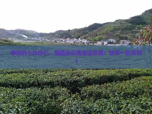 孝感去云南温泉团体旅游