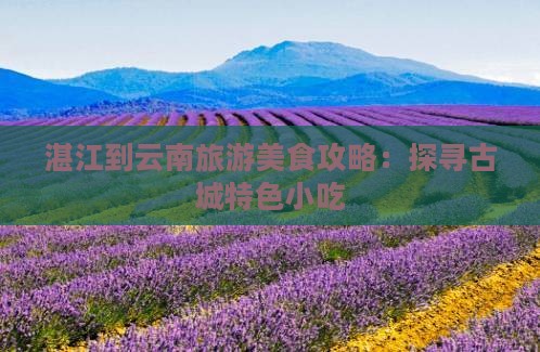 湛江去云南古城旅游小吃