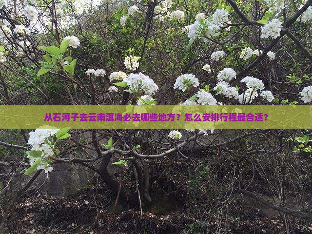 石河子去云南洱海必去地