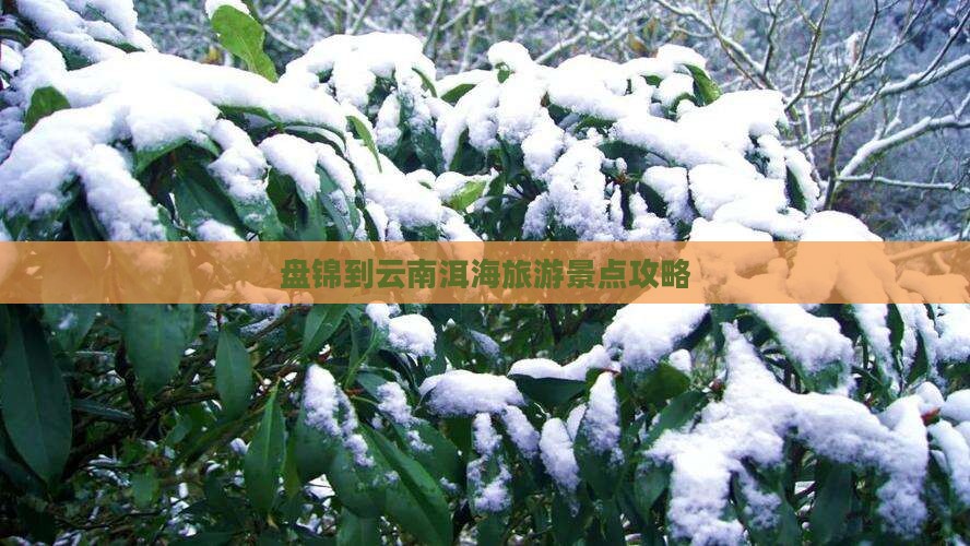 盘锦去云南洱海门票