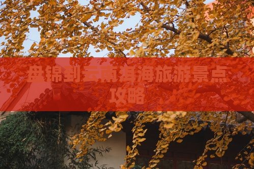 盘锦去云南洱海门票