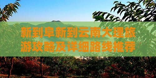 阜新到云南大理自由行