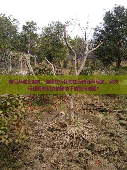 淮北去云南西双版纳旅行社