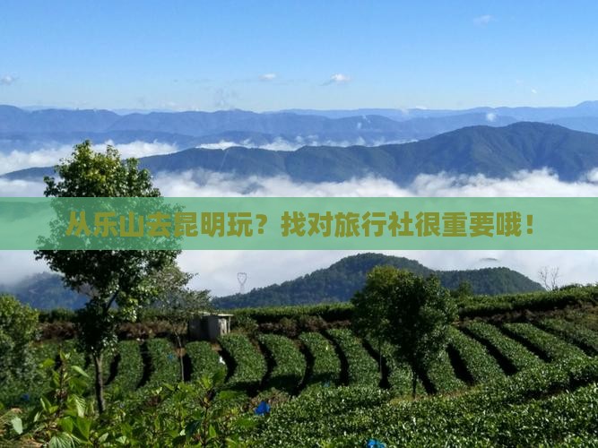 乐山到云南昆明旅行社