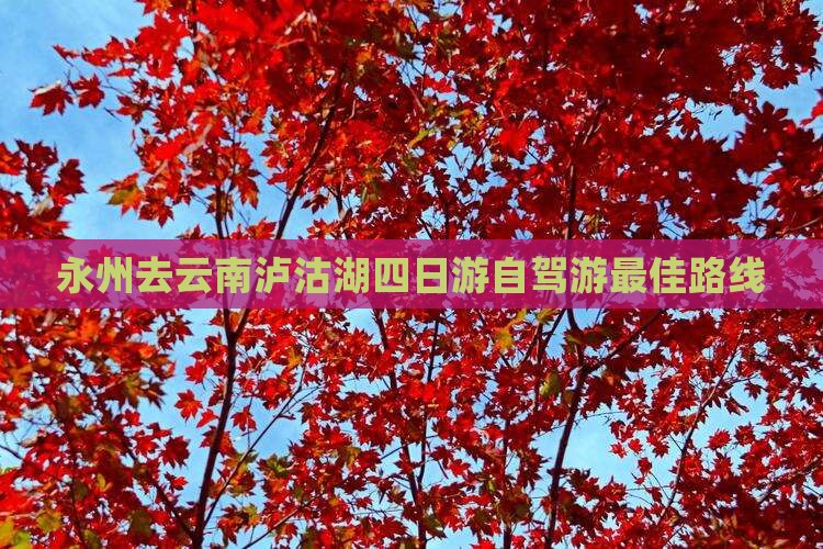 永州去云南泸沽湖四日游