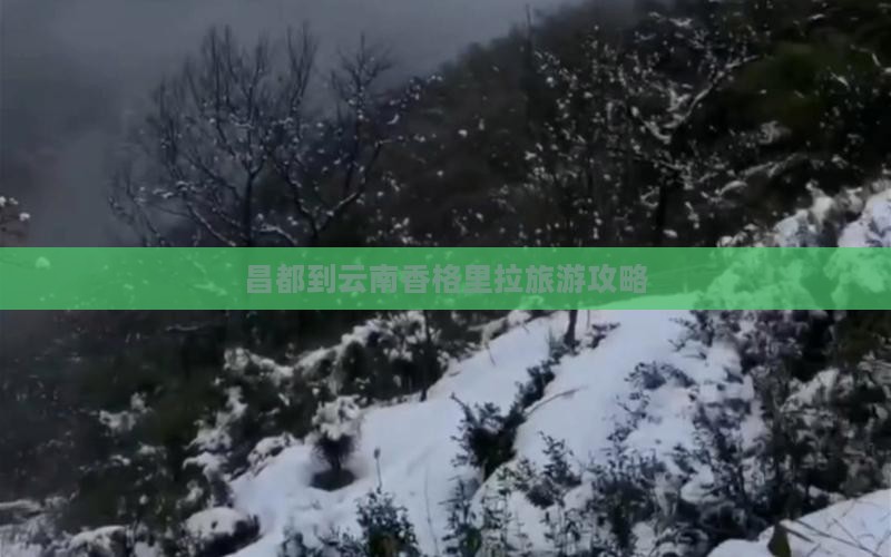 昌都到云南香格里拉攻略