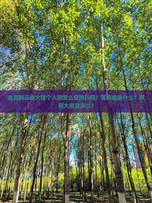 金昌到云南大理个人游 金昌到云南大理个人游