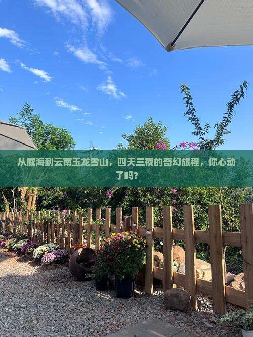 威海到云南玉龙雪山四日游