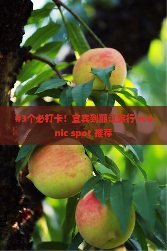 宜宾到云南丽江哪里玩
