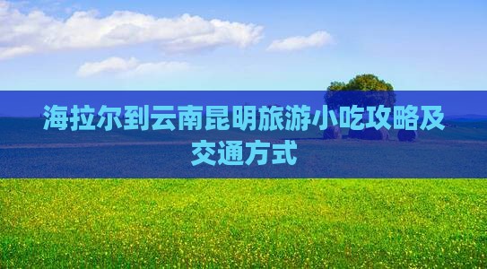 海拉尔到云南昆明旅游小吃