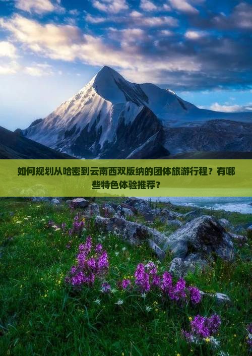 哈密到云南西双版纳团体旅游