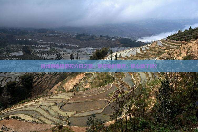 宿州去云南香格里拉六日游