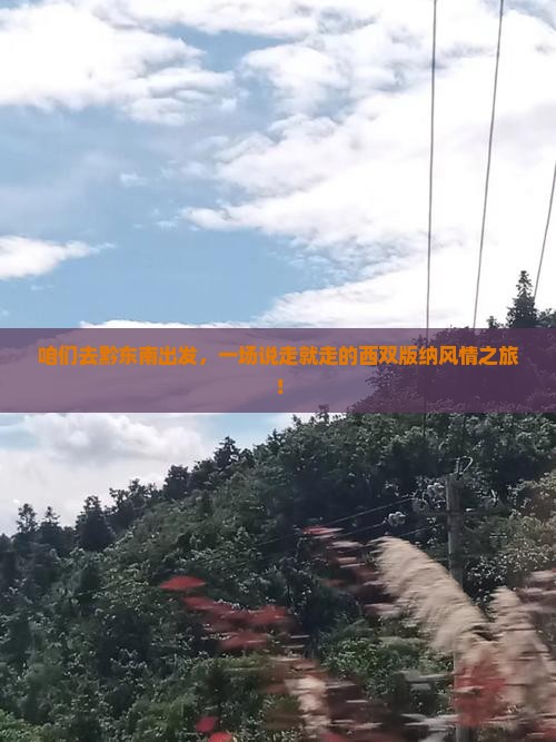 黔东南到云南西双版纳自由行