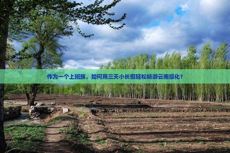 绥化去云南三日游