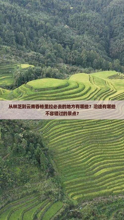 林芝到云南香格里拉必去地