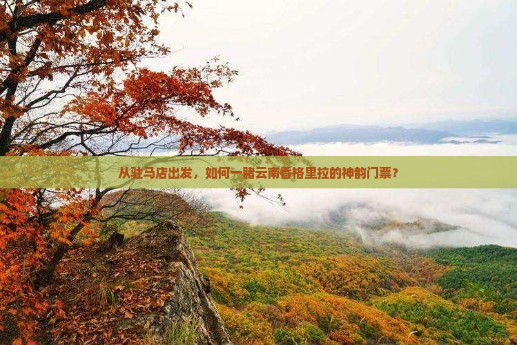 驻马店到云南香格里拉门票