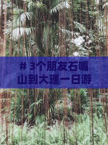 石嘴山去云南大理一日