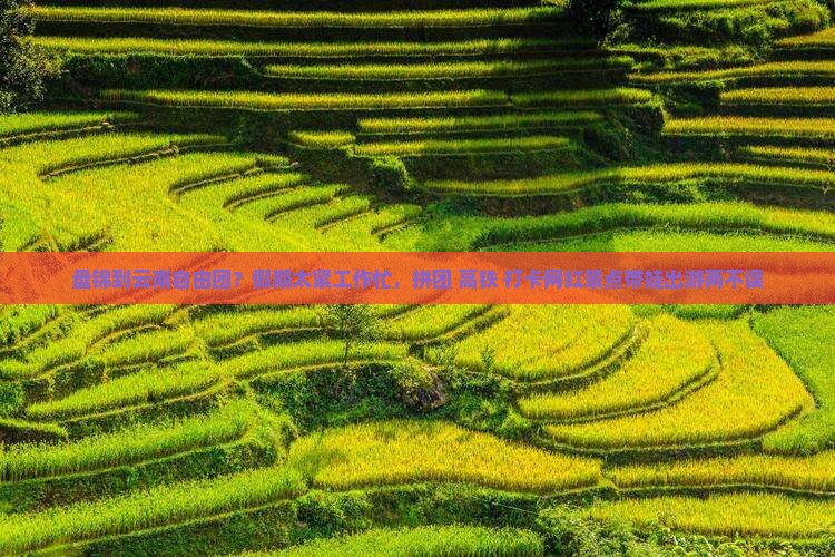 盘锦到云南自由团