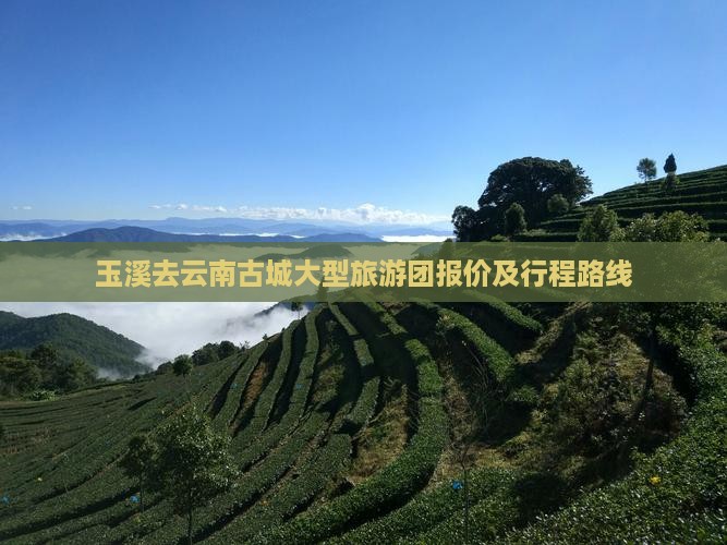 玉溪去云南古城大型旅游团