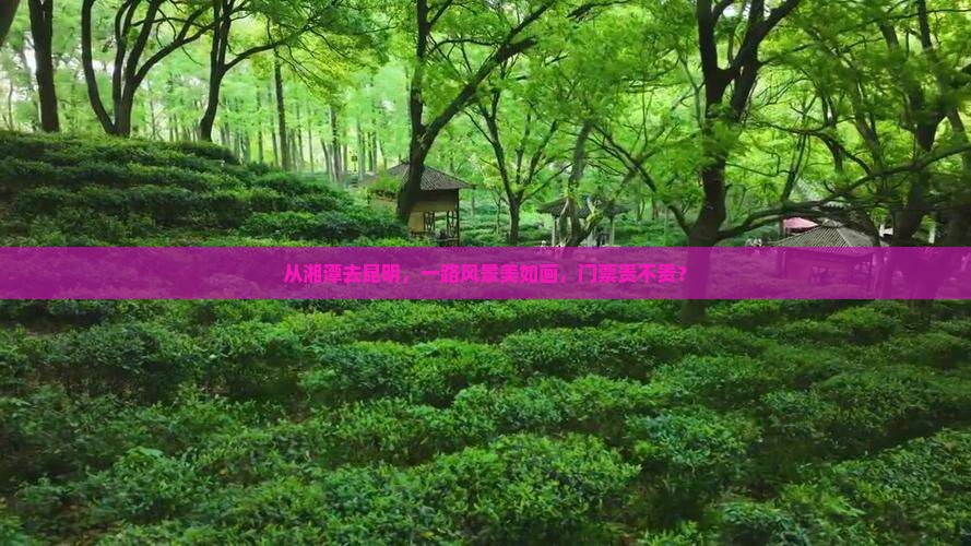 湘潭到云南昆明门票