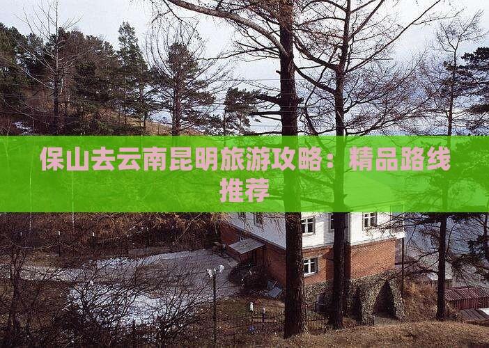 保山去云南昆明旅游