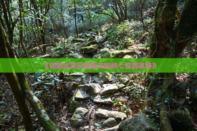德阳去云南西双版纳七日游